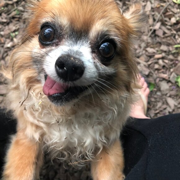 85% of textiles = 92 millions TONS a YEAR = LANDFILL. Let's Change That! - Picture 10 of 12